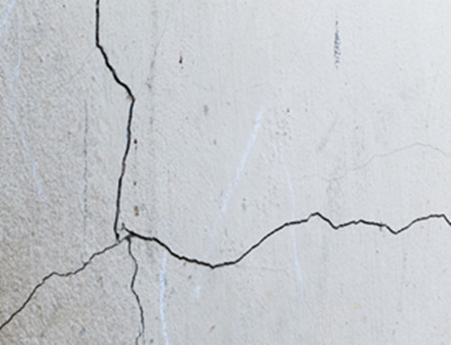 452851310160249086.jpg 452851310160249086.jpg